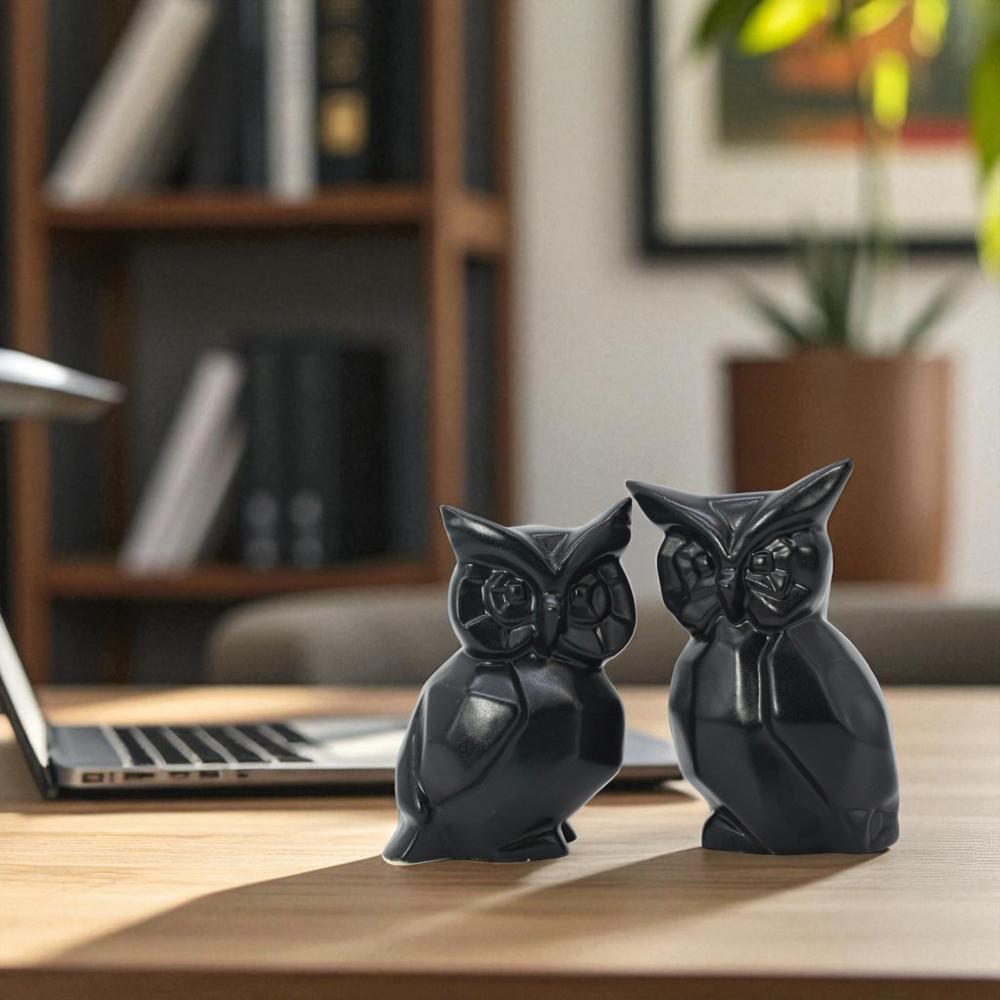 Ceramic Owl Set of 2 Black