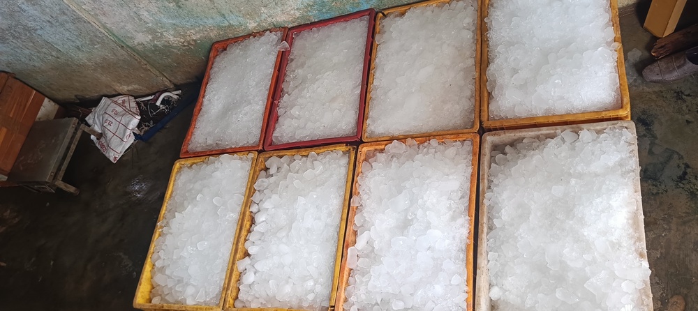 25 Ton Ice Plant