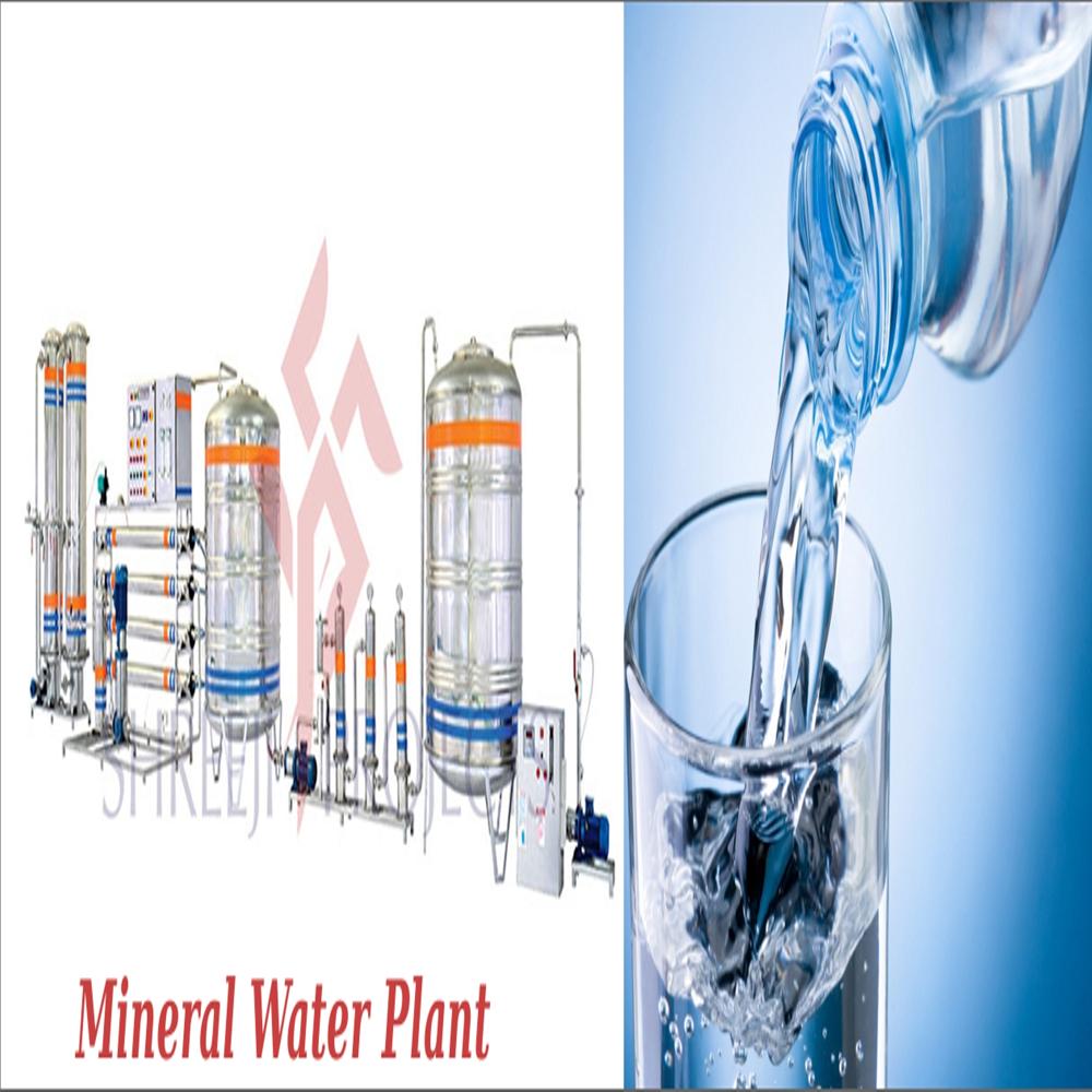 Low Budget 2000 LPH Mineral Water Plant