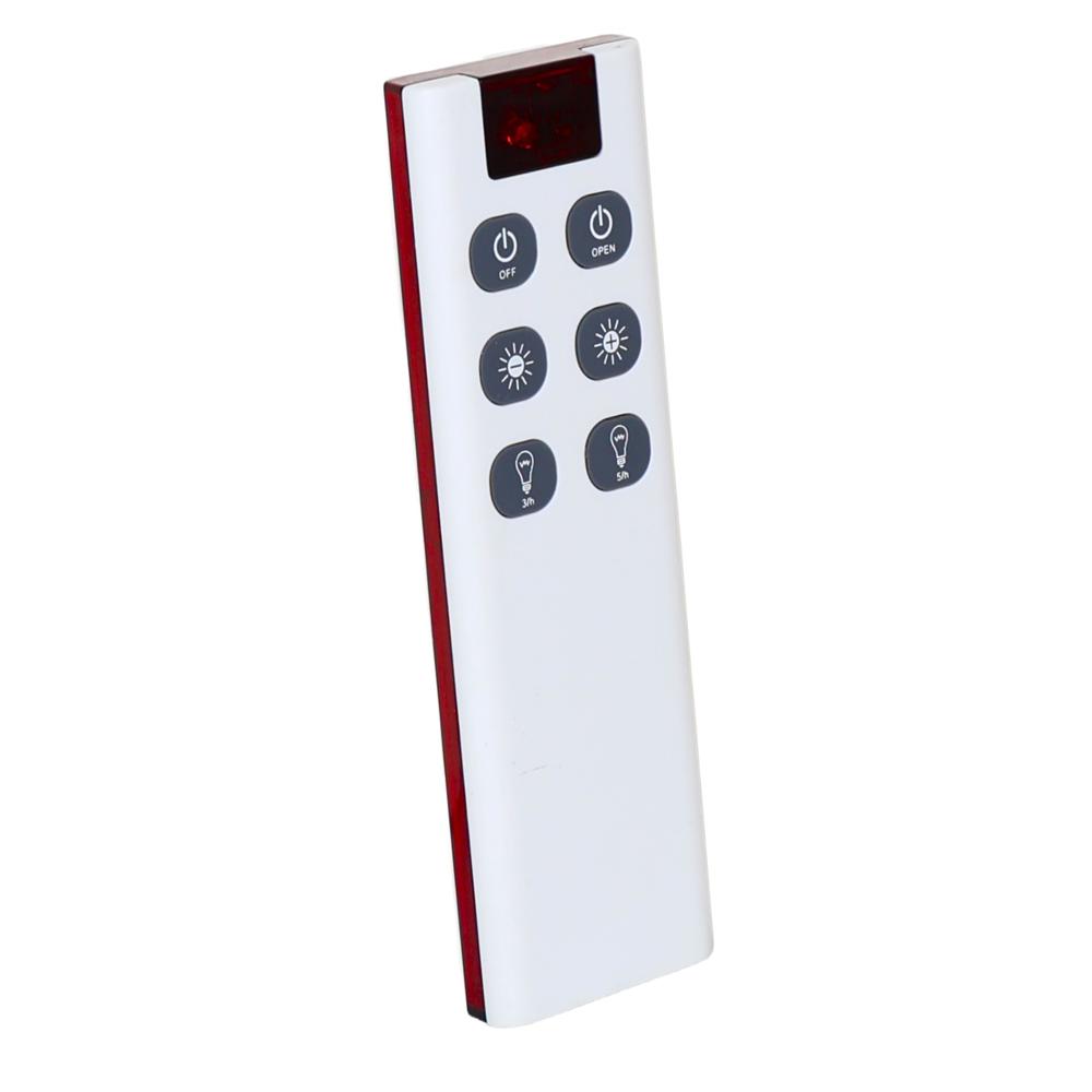 RealBuy Rechargeable LED Flood Light 100W with 12000mAh Lithium Battery and Remote Control Cool White (IP66 Water-Proof)