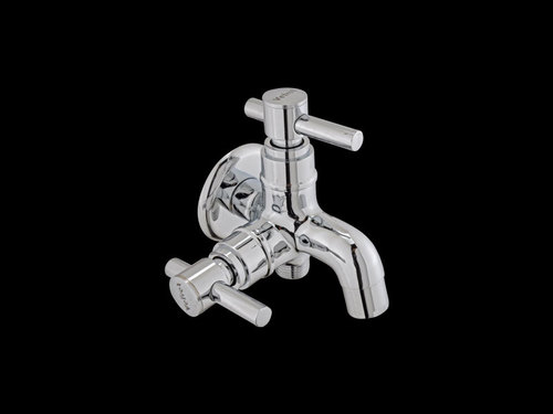 Stainless Steel 2 In 1 Bibcock
