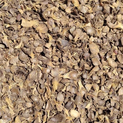 Palm Kernel Shell - Color: Dark Brown