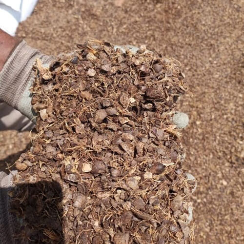 Palm Kernel Shell
