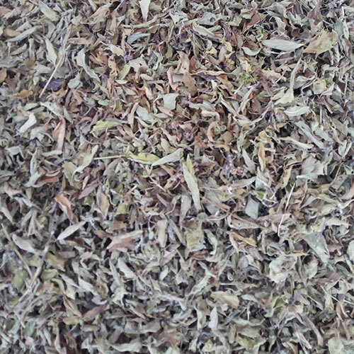 Vana Tulsi Leave - Age Group: Suitable For All