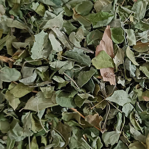 Moringa - Leaves - Age Group: Suitable For All