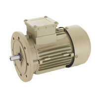 Flange Motor Aluminum Body