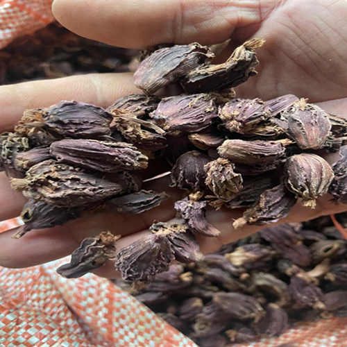 Black Cardamom - Grade: Food