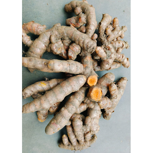 Turmeric Finger - Color: Brown