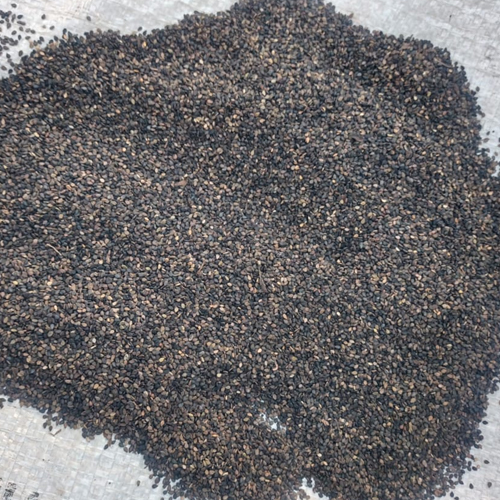 Seasame Seed - Cultivation Type: Organic