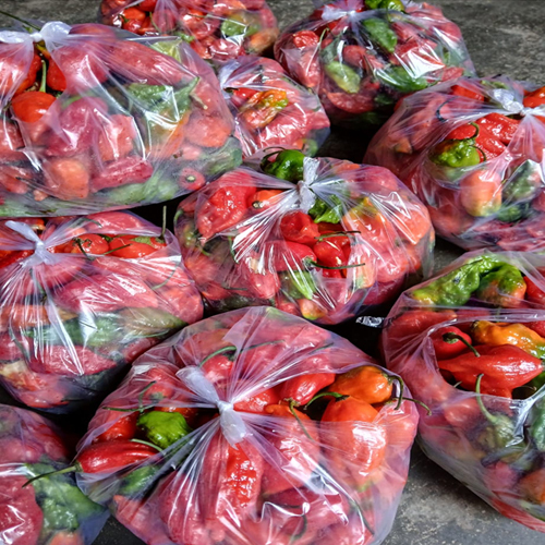 King Chilli - Color: Red