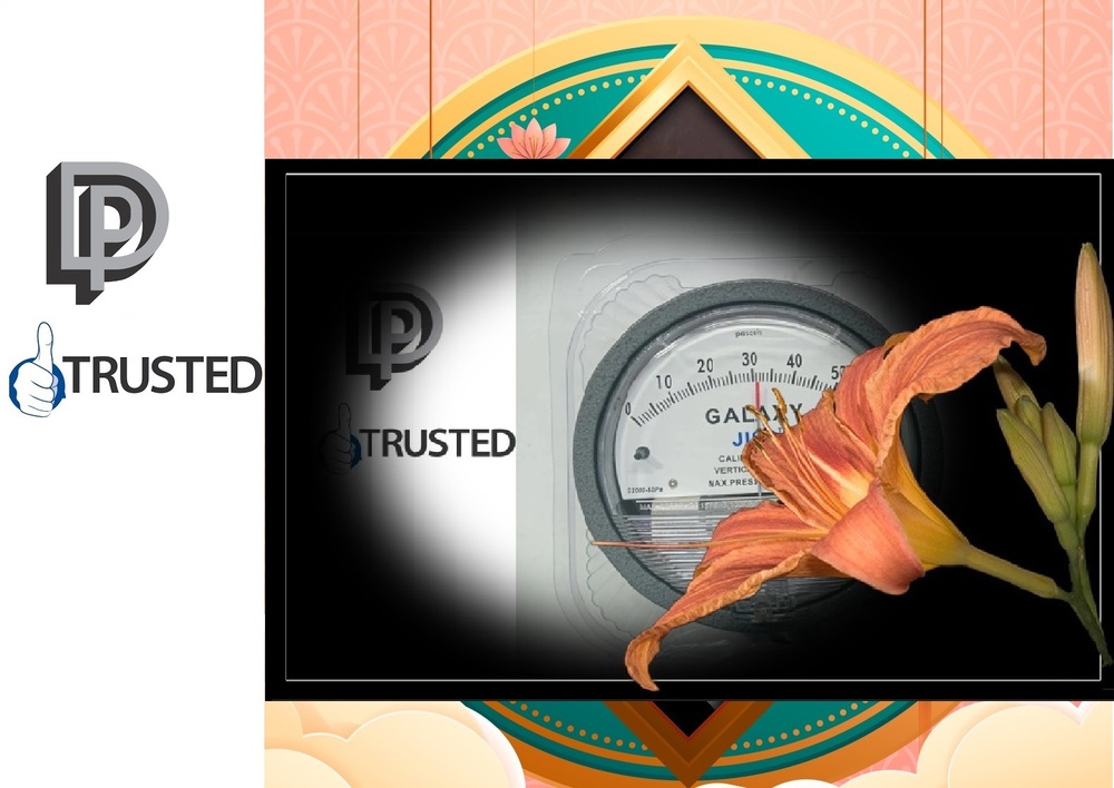 GALAXY_Differential Pressure Gauges FOR Meghalaya