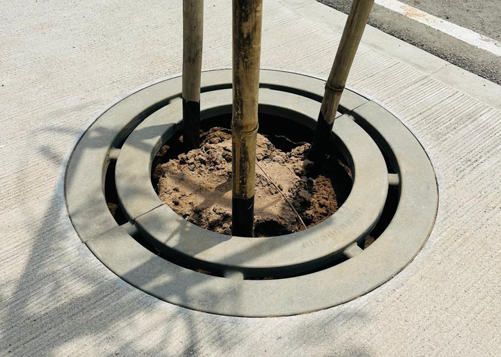 Thermodrain Tree Gratings - Application: Sidewalks And Pedestrain Zone
