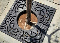 Thermodrain Tree Gratings