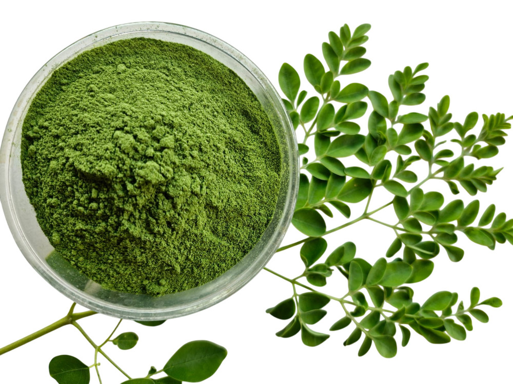 Dehydrated Muringha Powder - Packaging Type: Packet