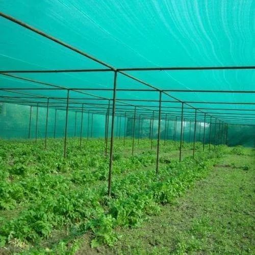 Nursery Shade Net - Color: Green