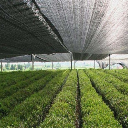 shade netting for agriculture