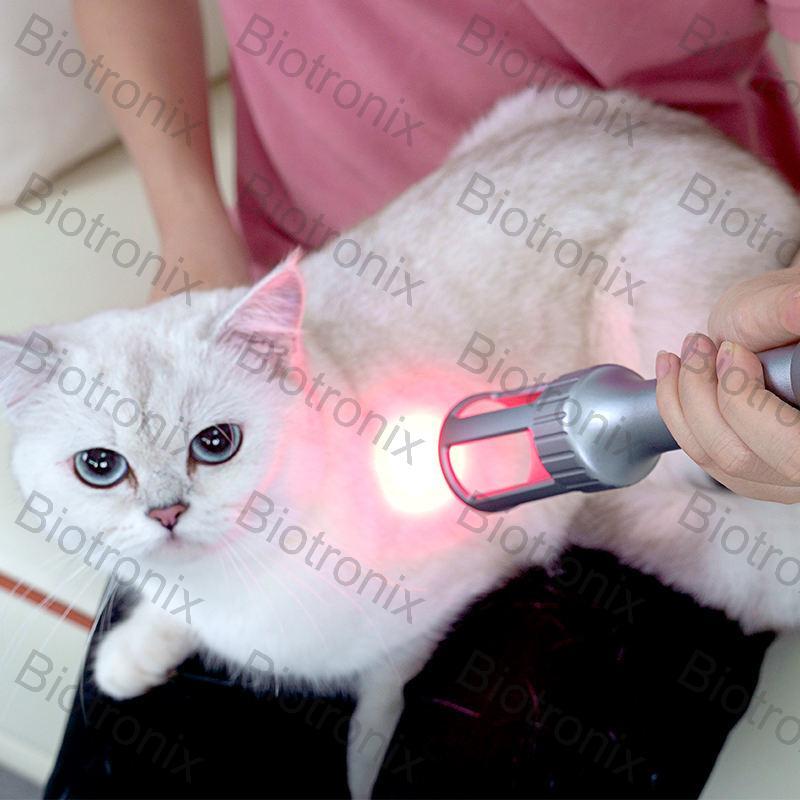 Professional 980nm Class 4 Diode Laser Therapy Machine for Effective Pain Relief, Tissue Regeneration, and Post-Surgery Rehabilitation