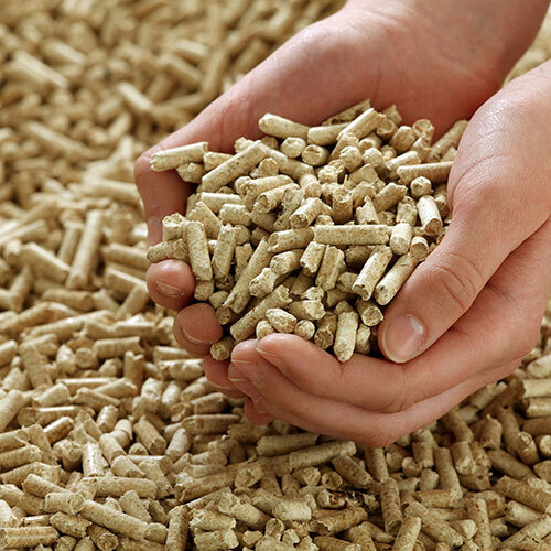 Biomass Pellet