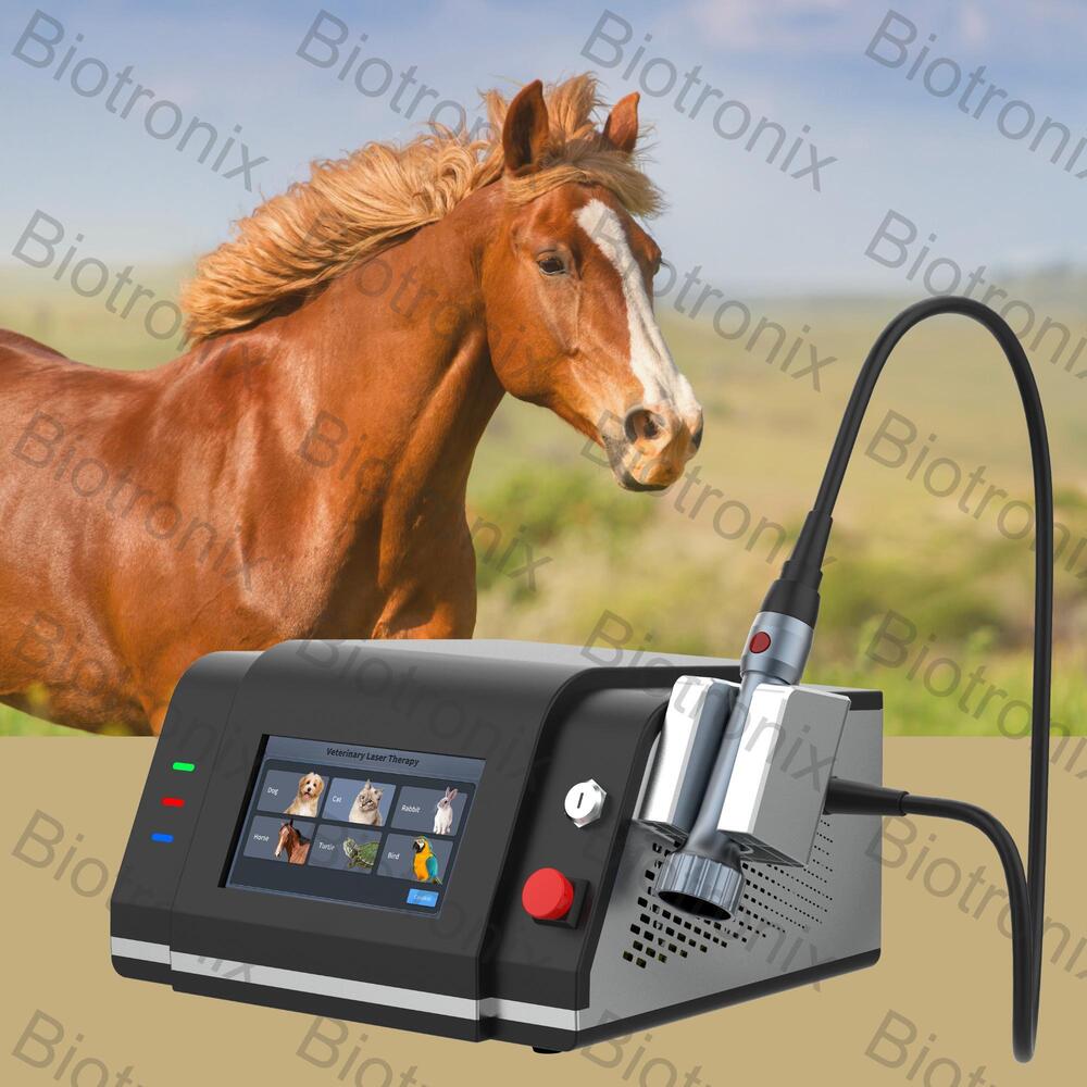 Class IV Diode Laser Physiotherapy Equipment 980nm