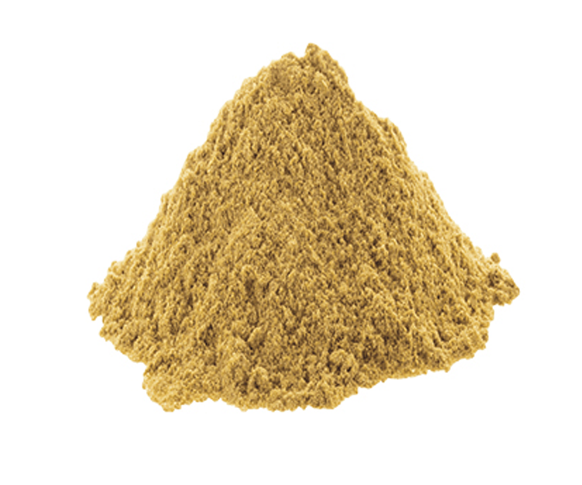 Coriander Powder