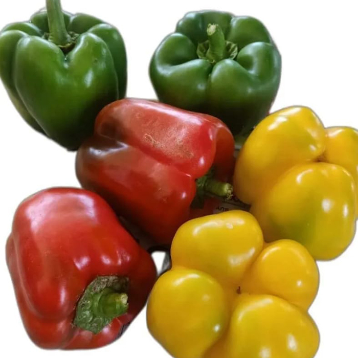 Fresh Capsicum