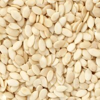 Organic Watermelon Seeds - Admixture (%): 0.5% Max