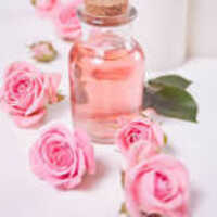 Rose Water Two Mana Essential Oil