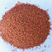 Organic Halim Seeds - Admixture (%): 0.5% Max