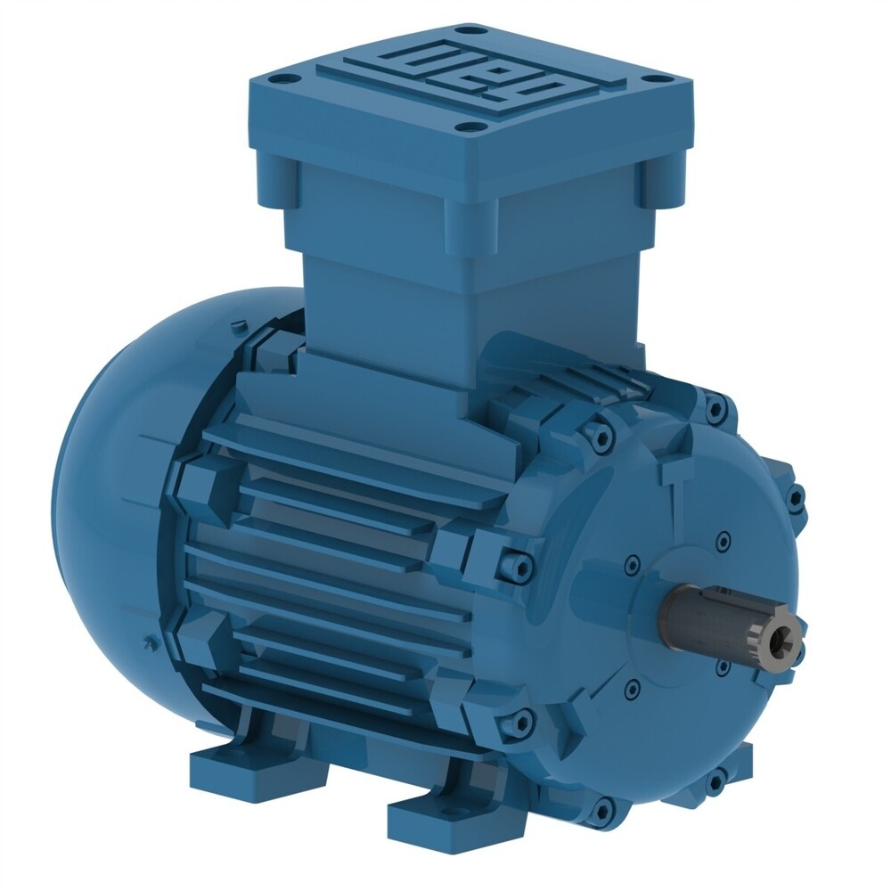 Flame Proof Motors Ex 'd'