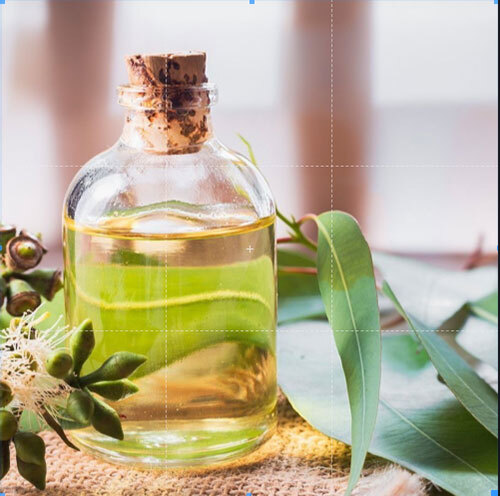 Eucyluptus Oil - Age Group: Adults