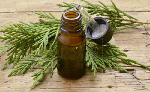 Cypress Oil - Age Group: Adults