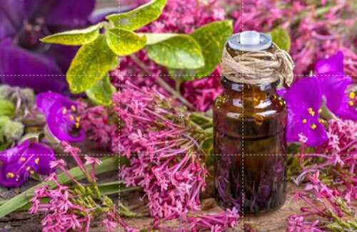 Clary Sage Oil - Age Group: Adults
