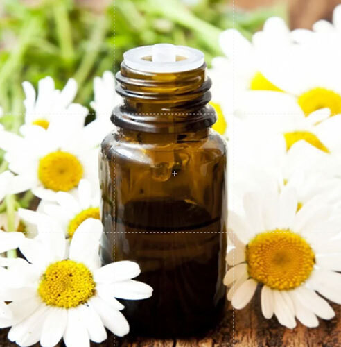 Chamomile Oil - Age Group: Adults