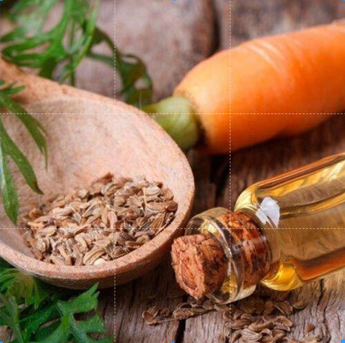 Carrot Seed Oil - 90% to 98% Purity, 12-Month Shelf Life, Insoluble in Water | Herbal Extract for Aromatherapy & Fragrance Compound