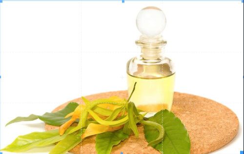 Ylang Ylang Oil - Age Group: Adults