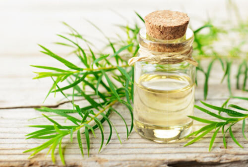 Tea Tree Oil - Age Group: Adults