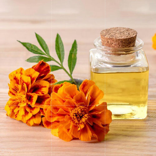 Tagetes Oil - Age Group: Adults