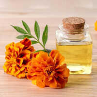 Tagetes Oil - Age Group: Adults