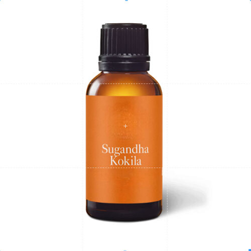 Sugandh Kokila Oil - Age Group: Adults