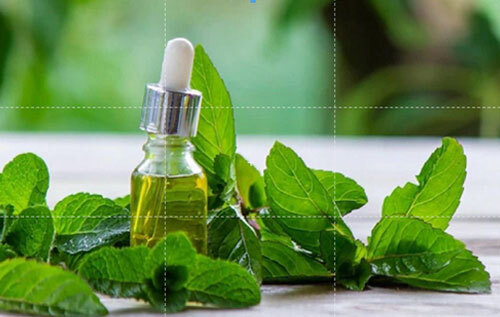 Spearmint Oil+ - Age Group: Adults