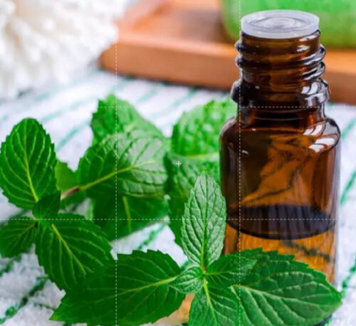 Peppermint Oil