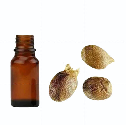 Kapoor Kachari Oil