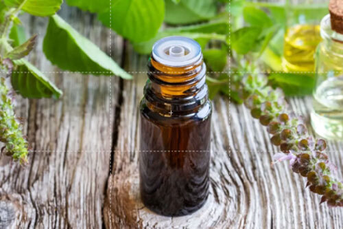 Holy Basil Oil - Age Group: Adults