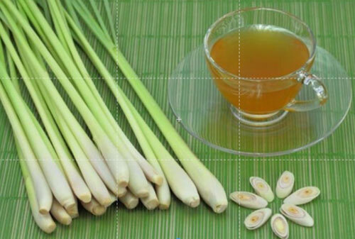 Ginger Grass Oil - Age Group: Adults
