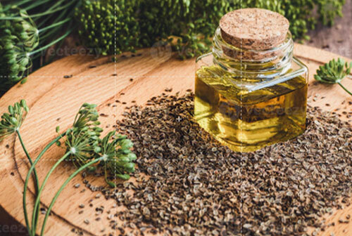 Dill Seed Oil - Age Group: Adults