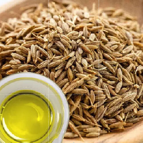 Cumin Seed Oil - Age Group: Adults