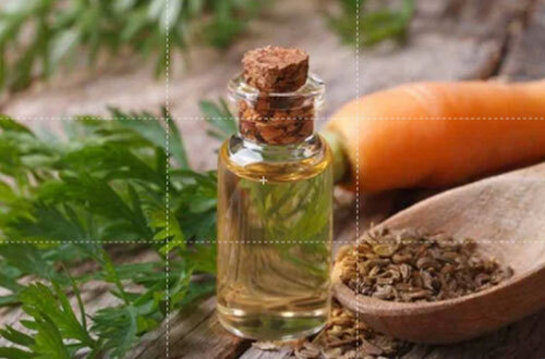 Celery Seed Spice Oil