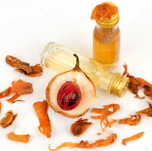 Mace Spice Oil - Age Group: Adults