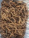 Keeda Jadi  ( Caterpillar Fungus-cordyceps Sinensis) - Color: Brown