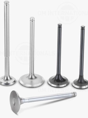 Cng Engine Valves - Height: -
